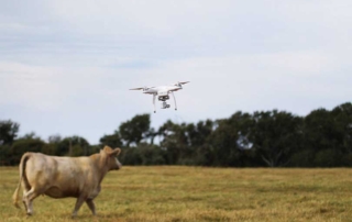 Drone use on ranches will be the topic of the Oct. 3 Texas Range webinar hosted by the Texas A&M AgriLife Extension Service.