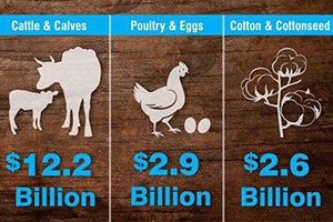 Agriculture revs the economic engine in Texas. In terms of market value, cattle and calves, poultry and eggs and cotton and cottonseed are the top three ag commodities.