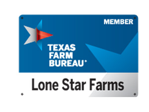 Host Your Own DIY Carnival  Texas Farm Bureau Insurance