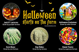 From pumpkins to sweet treats and costumes to hay rides, Halloween festivities get their start on Texas farms and ranches. Read more on Texas Table Top.