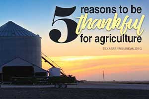 Julie Tomascik shares 5 reasons to be thankful for agriculture.