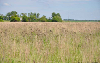 Farmers and ranchers can sign up for the general Conservation Reserve Program through Feb. 28, 2020, while signup for the continuous CRP is ongoing.