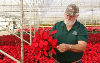 Cherokee County grower Nolan Jeske takes pride in growing poinsettias and cultivating Christmas cheer during the holiday season.