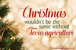 Christmas trees. Holiday sweets and feasts. ‘Tis the season wouldn’t be the same without Texas farmers and ranchers, Jennifer Dorsett says on Texas Table Top.