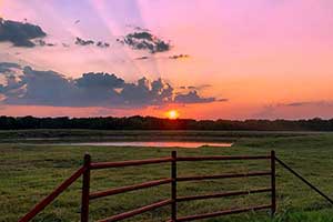 What do farmers and ranchers have on their list of New Year's resolutions? Julie Tomascik shares the top 8 on Texas Table Top.