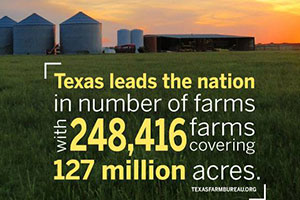 Texas leads the nation in number of farms and ranches.