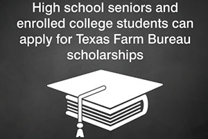 Apply for TFB scholarships by March 2