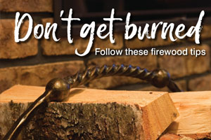 It’s cold in Texas this week! Follow these tips to prevent spreading pests and diseases with firewood.