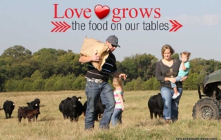 Cupid’s arrow hit its mark in agriculture. And his aim couldn’t have been more true. Because farmers and ranchers share a love for their trade, whether it’s raising livestock or growing crops.
