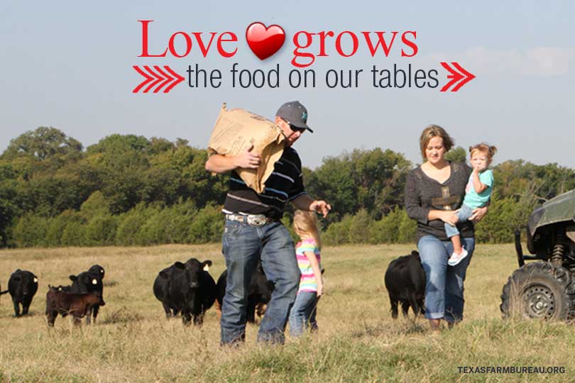 Cupid’s arrow hit its mark in agriculture. And his aim couldn’t have been more true. Because farmers and ranchers share a love for their trade, whether it’s raising livestock or growing crops.