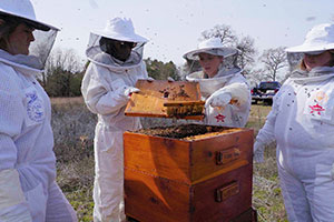Four Hawkins FFA members are creating quite a buzz around the country. This is a honey sweet story you have to see to bee-lieve.