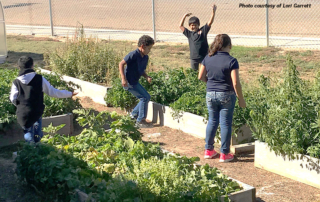 A Moore County teacher who has won multiple awards for her dedication to agricultural literacy and education has done it again.