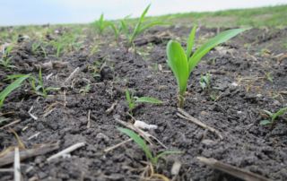 Farmers and ranchers can nominate schools in Texas to receive a STEM grant from the America’s Farmers Grow Rural Education program.