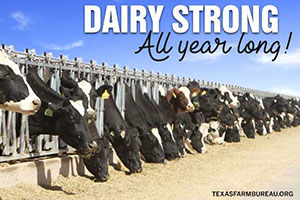 Although National Dairy Month is in June, February is a good time to recognize our dairy farmers and be dairy strong all year long.