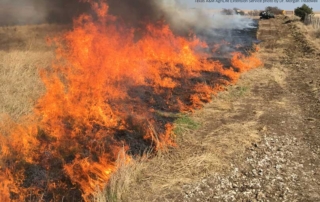 More than 400,000 acres of Texas land were treated with prescribed burns in 2018.