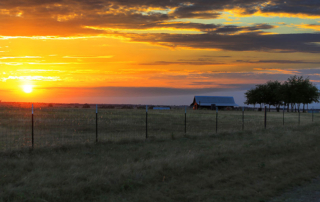 American Farm Bureau Federation announced it will transition Bayer’s Farm State of Mind campaign to the national organization. The campaign aims to raise mental health awareness among the agricultural community.