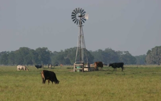 The state veterinarian of Texas, Dr. Andy Schwartz, encourages livestock owners to use the anthrax vaccine this spring.