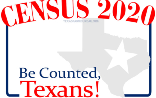 Texas residents are now receiving invitations to participate in the 2020 U.S. Census, and an accurate count is important for the state, especially rural Texas.