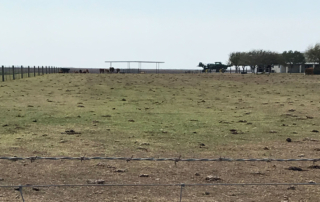 Farmers and ranchers across the Rio Grande Valley are praying for rain as drought conditions in the area worsen.