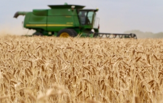 USDA recently reported China has purchased more than one million metric tons of U.S. corn and wheat, a first step to fulfilling phase one trade agreements between the two nations.