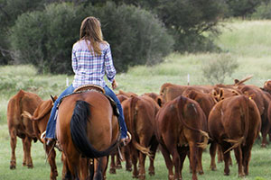Women in agriculture. More young farmers and ranchers. They’re growing trends that will play a critical role in agriculture’s future.