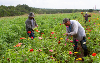 The American Farm Bureau Federation urges farmers to respond to a USDA labor survey about farm workers’ hours and wages.