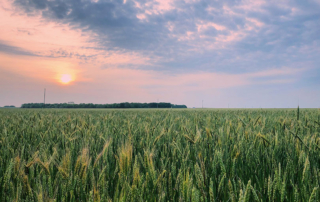 Farmers signed a record 1.77 million contracts for the U.S. Department of Agriculture’s ARC and PLC safety net programs for 2019 crop year.