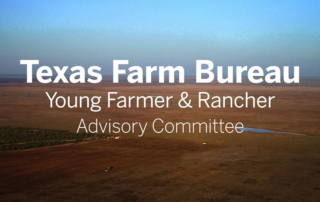 Twenty-four young producers were appointed to Texas Farm Bureau’s (TFB) Young Farmer & Rancher (YF&R) Advisory Committee.