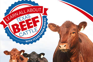 Beef up your cattle knowledge with Texas Farm Bureau’s Beef Connection publication! Get more on the beef life cycle, how to read a brand, breeds of cattle and even a word search