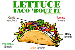 It’s Cinco de Mayo and Taco Tuesday! “Lettuce” celebrate today with tacos! Meet some of the Texas farmers and ranchers behind our favorite taco ingredients!