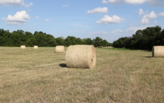 Reduce the risk of loss and damage by taking precautions when baling and storing hay. It'll help keep your hay profits from going up in smoke.