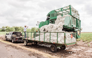 Longtime Hidalgo County Farm Bureau member Mike England of Mercedes recently harvested the first cotton bale of the 2020 season.