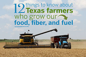 Farming is the roots that hold a family legacy, brings together communities and fuels the economy. Read 12 things about Texas farmers.