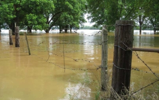 NRCS Emergency Watershed Protection Floodplain Easement Program can help landowners manage their flooded lands.