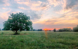 The U.S. House and Senate recently passed a Farm Bureau-supported measure designed to help farmers respond to stress and decrease the stigma associated with mental health care in rural communities.