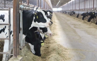 The American Farm Bureau Federation released its final report on priorities for milk pricing reform, calling for more democracy and a more equitable program for dairy farmers.