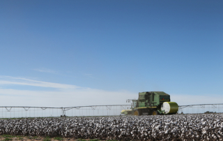 Plastic contamination is an issue that starts in the field and leads to serious downgrades in fiber quality, damaging profits and U.S. cotton’s reputation.