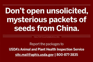 In a year full of strange twists and unexpected events, “mystery seeds” from overseas can now be added to the list.