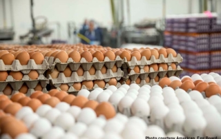 The USDA’s Food Safety and Inspection Service announced it is modernizing egg products inspection methods to be consistent with current requirements in the meat and poultry products inspection regulations.