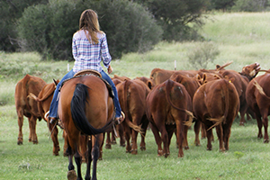 Women are active in making decisions and operating farms and ranches. And Texas has more female farmers and ranchers than any other state. Gary Joiner has more in Your Texas Agriculture Minute.