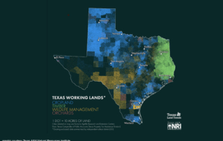 A series of maps created by Texas A&M Natural Resources Institute shows the diversity and spread of working lands across the Lone Star State.