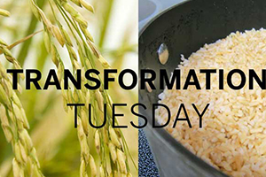 Rice is packed with nutrients. Learn more about the crop from field to table with this Transformation Tuesday post on Texas Table Top.