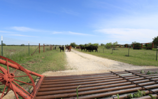 Texas A&M AgriLife Extension Service is hosting a webinar series, Landowner Laws and Responsibilities, every Friday from Oct. 23 through Nov. 13.