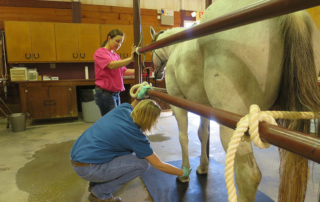 TAHC is accepting nominations of geographic areas of Texas experiencing a veterinary shortage. Nominations are due Oct. 30.