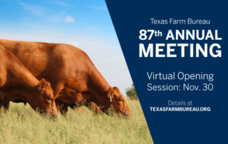 Texas Farm Bureau's 87th annual meeting will be a hybrid meeting, including both a vritual opening session and in-person business session.