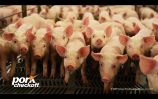 A no-fee software platform, AgView, was launched by the National Pork Board to help the pork industry track foreign animal disease outbreaks.