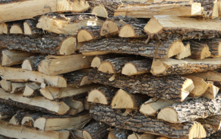 Keep these tips in mind when handling and storing firewood to prevent spreading pests and diseases.