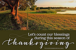 We’re closing in on Thanksgiving. Let’s take time to give thanks for our blessings and for agriculture.