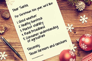 What's on the Christmas list for farmers and ranchers? Market stability, common-sense regulations, rural broadband connection and a few more!