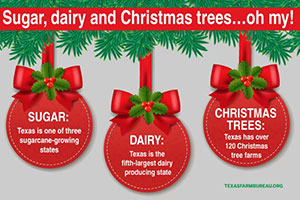 Sugar, dairy and Christmas trees, oh my! Check out our Christmas ag facts on Texas Table Top